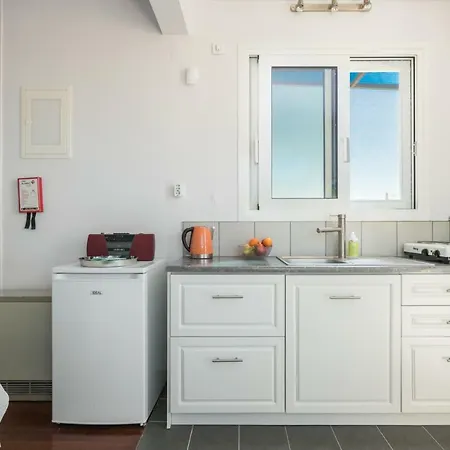 Διαμέρισμα Penthouse Ena